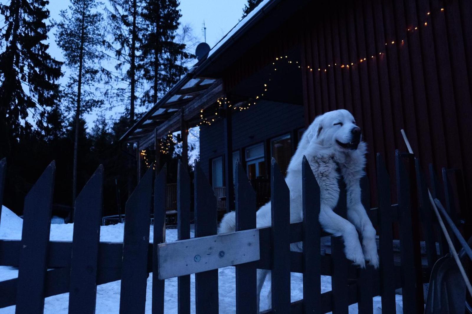 Laplandbike Apartment Arctic Circle Rovaniemi Exterior foto